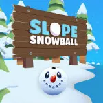 Slope SnowBall takes players into an endless running adventure in a snowy setting. The objective is to guide your snowball down perilous slopes.